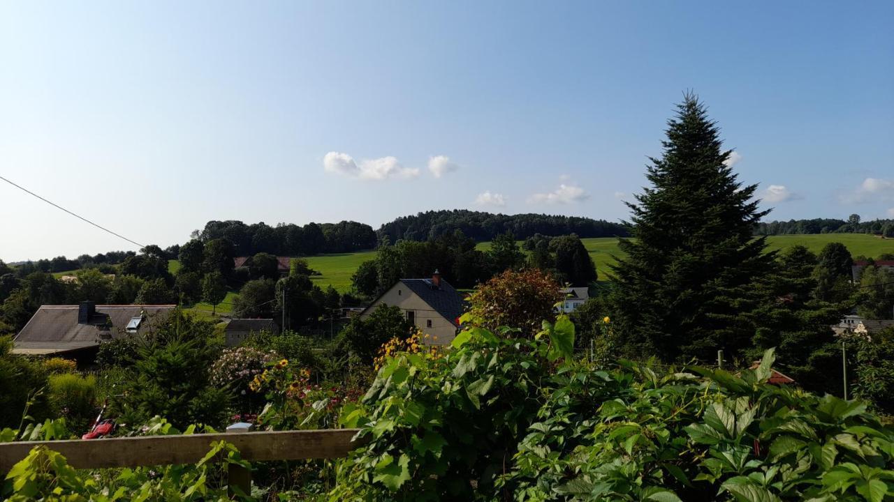 Falkenstein Reinhardtsdorf-Schona Exterior foto